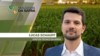Lucas Schauff