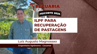 Luiz Augusto Magnossao
