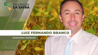 Luiz Fernando Branco