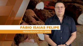 Fábio Isaias Felipe - Pesquisador do Cepea