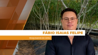 Fábio Isaias Felipe - Pesquisador do Cepea