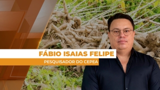 Fábio Isaias Felipe - Pesquisador do Cepea