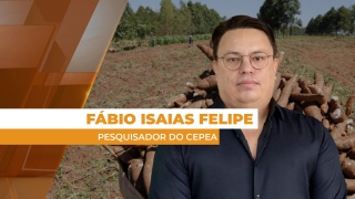 Fábio Isaias Felipe - Pesquisador do Cepea