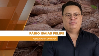 Fábio Isaias Felipe - Pesquisador do Cepea