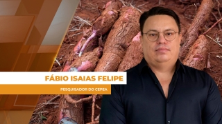 Fábio Isaias Felipe - Pesquisador do Cepea