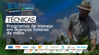 Apresentação Técnica