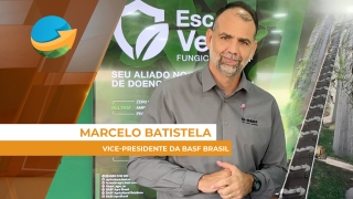 Marcelo Batistela - Vice-presidente da BASF Brasil