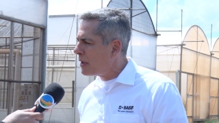Marcelo Ismael