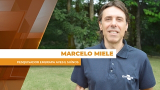 Marcelo Miele - Pesquisador da Embrapa Aves e Suínos
