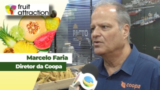 Marcelo Faria