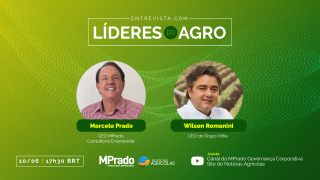 Wilson Romanini - CEO do Grupo Vittia