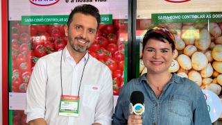 Flutuação nos preços do tomate vem desde o final de 2021, com atraso no plantio e dificuldades climáticas nas regiões produtoras