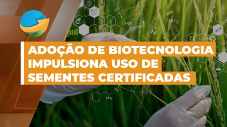 Marina Menin - Líder Comercial de Soja e Algodão / Divisão Agrícola Bayer