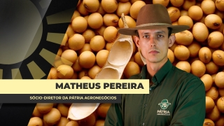 Matheus Pereira - Sócio-Diretor da Pátria Agronegócios