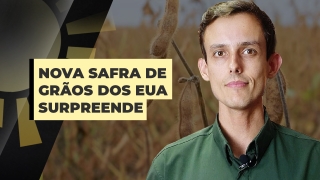 Matheus Pereira - Sócio-Diretor da Pátria Agronegócios