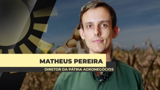 Matheus Pereira - Sócio-Diretor da Pátria Agronegócios