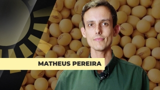 Matheus Pereira