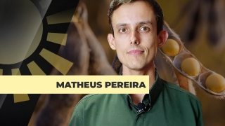 Matheus Pereira