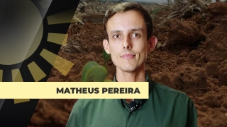 Matheus Pereira