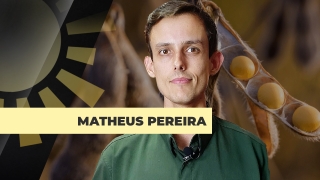 Matheus Pereira - Sócio-Diretor da Pátria Agronegócios