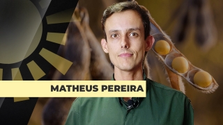 Matheus Pereira