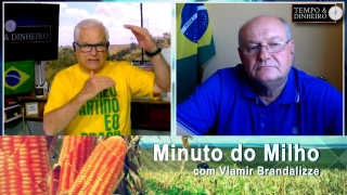 Vlamir brandalizze