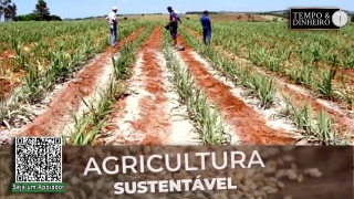 Éder Martins da Embrapa aponta crescimento do uso do Pó de Rocha na agricultura