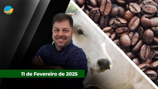 Fechamento de Mercado - Com Aleksander Horta