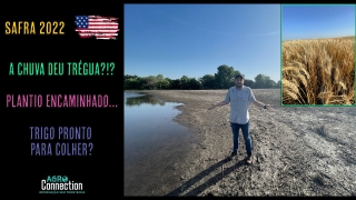 Agro Connection
