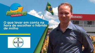 Rodrigo Nuernberg - Diretor de Negócios de Milho