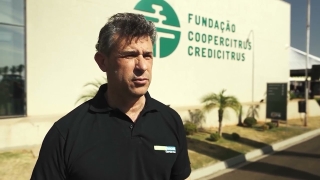 Frederico Olivi