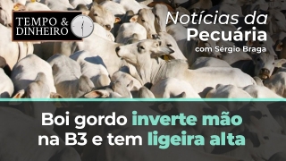 Tempo e Dinheiro