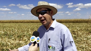 Guilherme Kolankiewicz - Gerente Geral de Produção JLS Agro