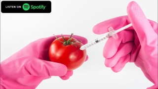 Podcast Eu Como