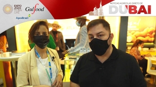 Feijões brasileiros se preparam para ganhar o mundo, vem aí o programa Brazilian Beans