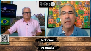 Tempo e dinheiro