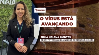 Julia Helena Montes - Gerente Técnica da Unidade de Suínos da Inata