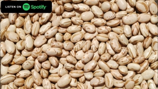 Podcast Eu Como