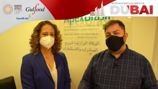 Karen Jones - Chefe Operações Escritório ApexBrasil para Oriente Médio e Norte da África