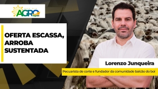 Lorenzo Junqueira