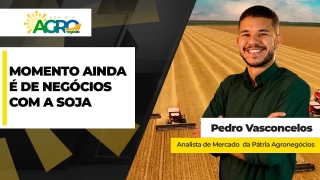 Pedro Vasconcelos