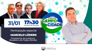 Mercado de feijão precisa explorar benefícios para a saúde e produção de novas variedades