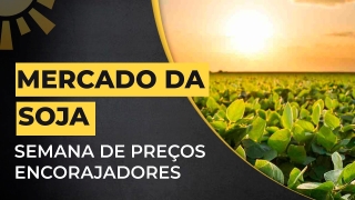 Aaron Edwards - Consultor de Mercado da Roach Ag Marketing