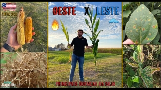Agro Connection