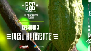 Do Grão à Barra