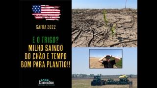Agro Connection