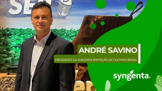 André Savino