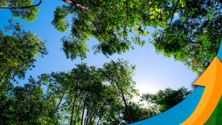 Evaristo de Miranda - Mestre Doutor em Ecologia