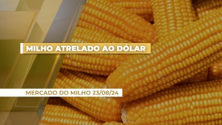 Roberto Carlos Rafael - Germinar Corretora