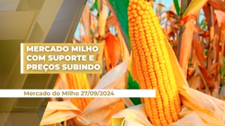 Cristiano Palavro - Diretor da Pátria Agronegócios